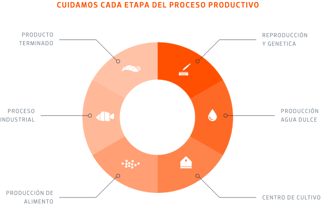 <p>We have an integrated production model that covers the whole salmon production cycle: from genetics and freshwater production, farms, processing, salmon feed production as well as sales and marketing. We take great care over each stage of the process and we operate according to the highest standards of biosecurity and animal welfare.</p>
